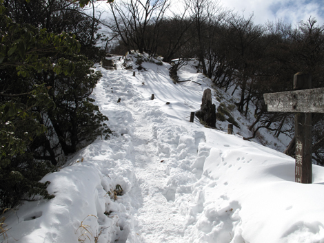 20170118hike (387)